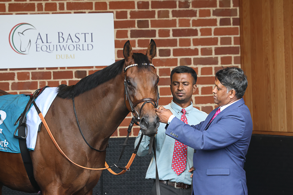 Treasure Time looks ahead to his next big target