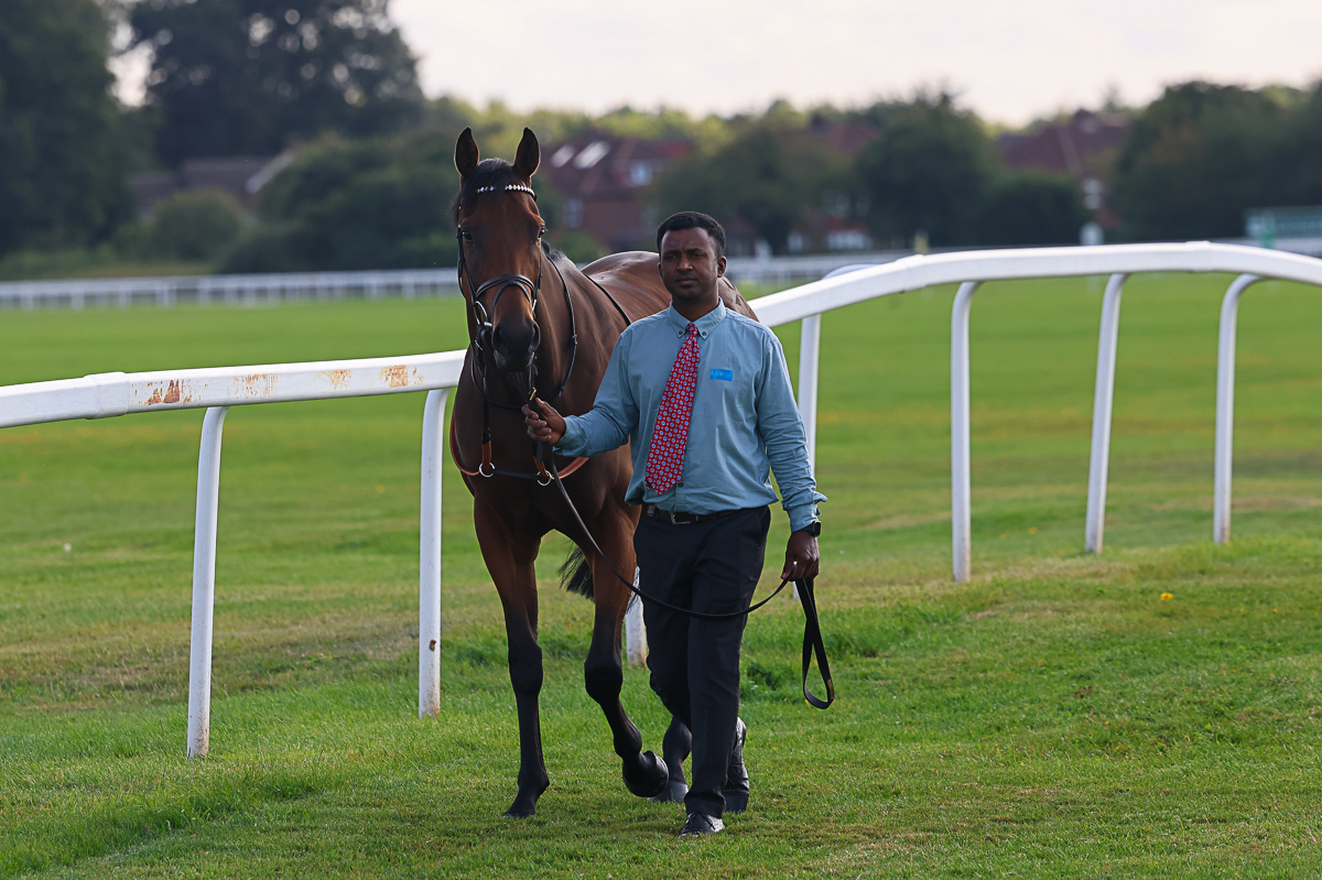 Treasure Time looks ahead to his next big target