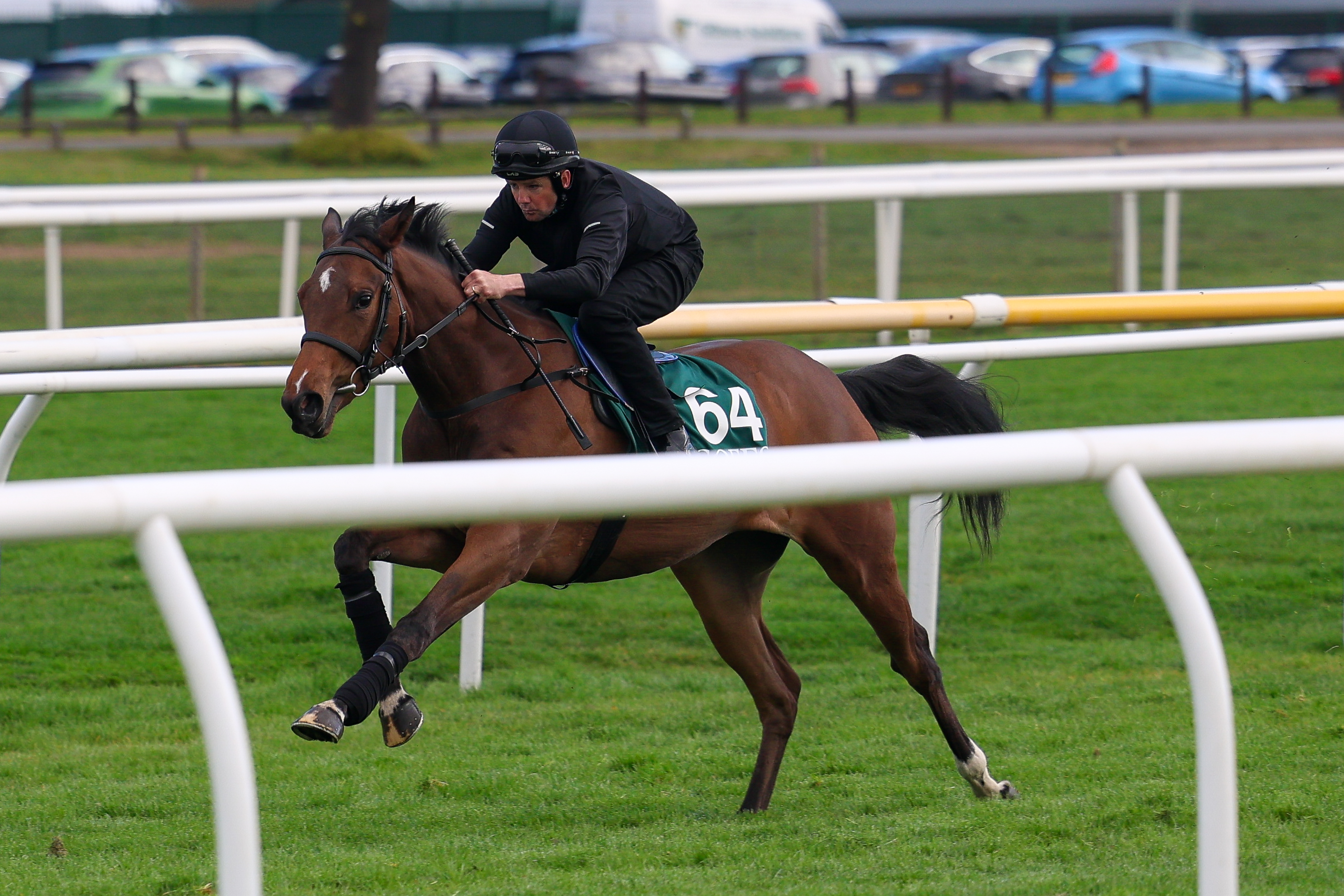 Two new recruits join the RaceShare roster