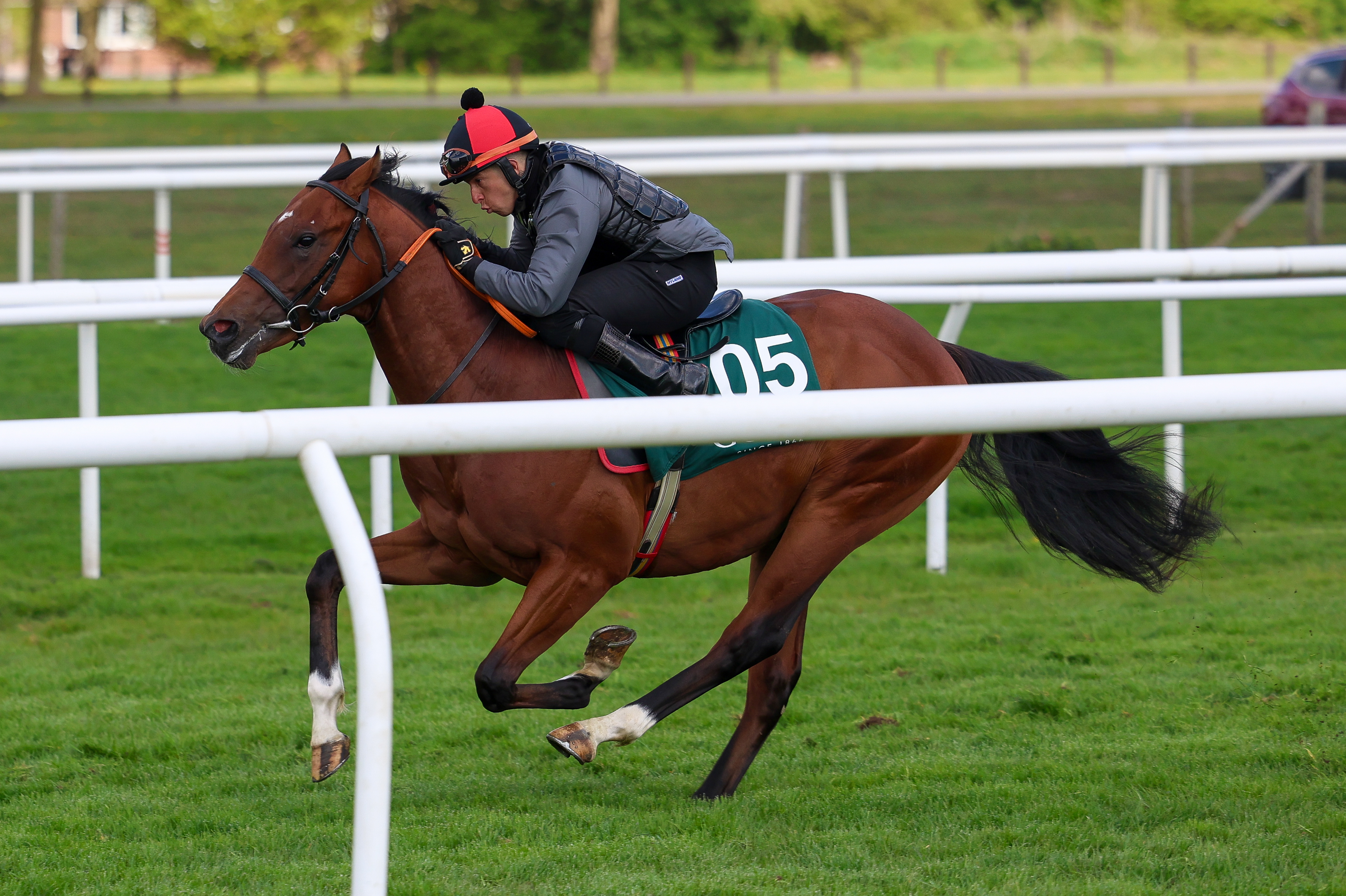 Two new recruits join the RaceShare roster