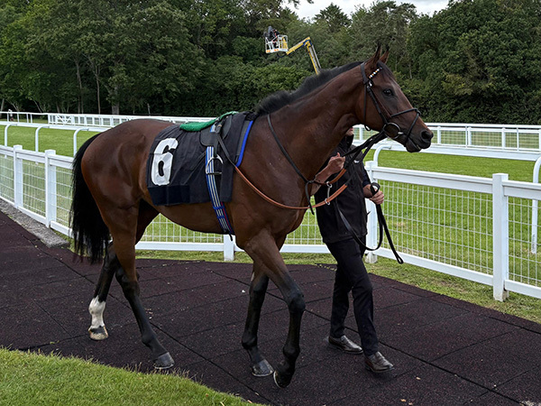 Undiscovered scores impressively on debut!