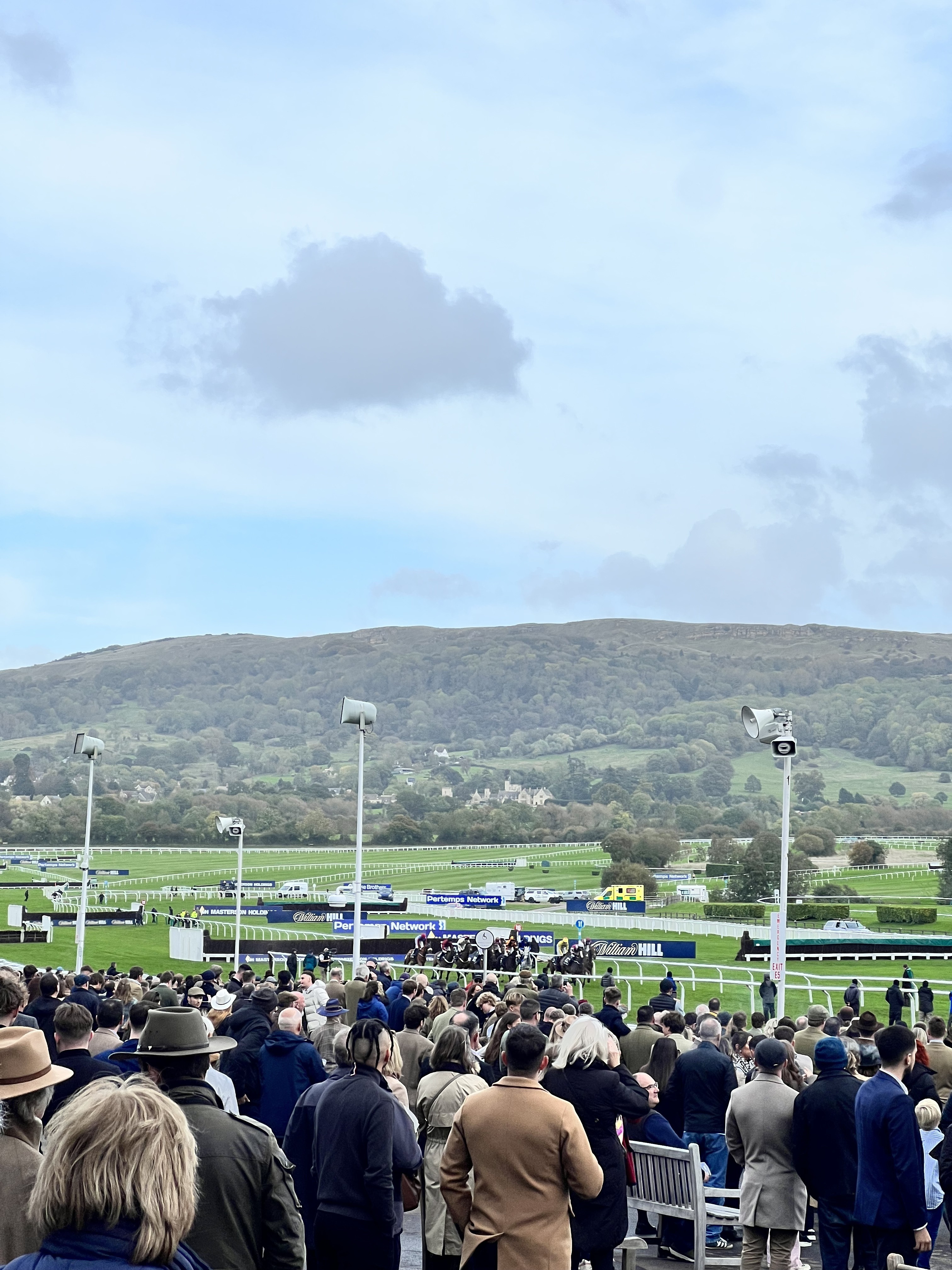What Raceday Looks Like for a Racehorse at the Cheltenham Festival