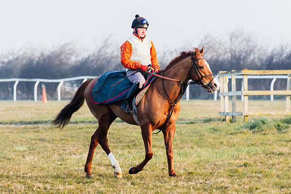 Wild Dahlia and Red Mirage targeting Saturday prizes