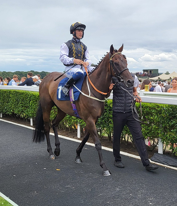 Wild Dahlia debuts at Newmarket and La Pulga chases a big prize at Hamilton this Friday