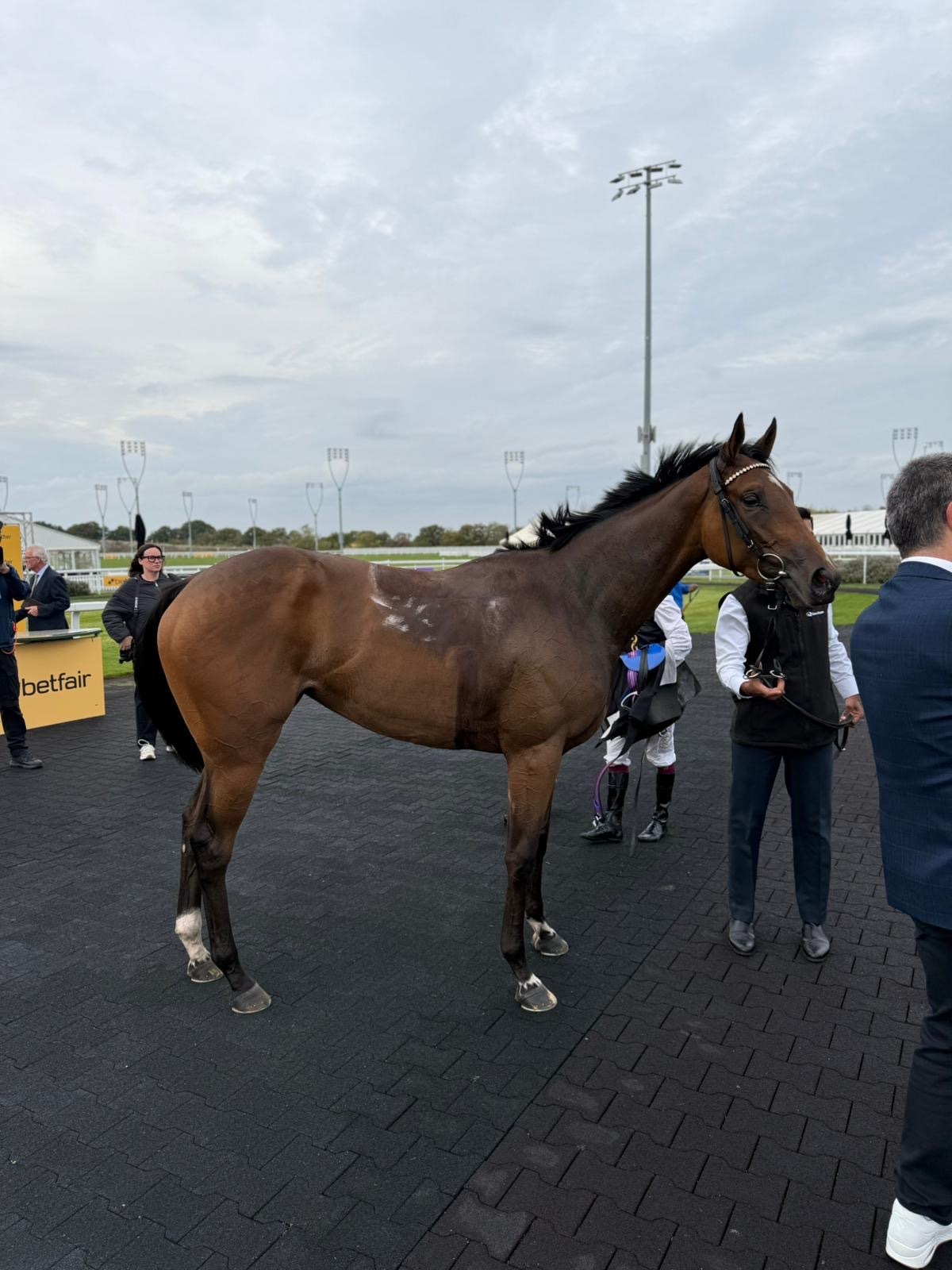 Wild Dahlia lands odds-on victory for William Haggas