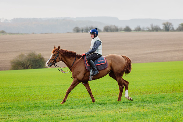 Yes I'm Mali and Red Mirage raise the curtain on the 2026 Flat season