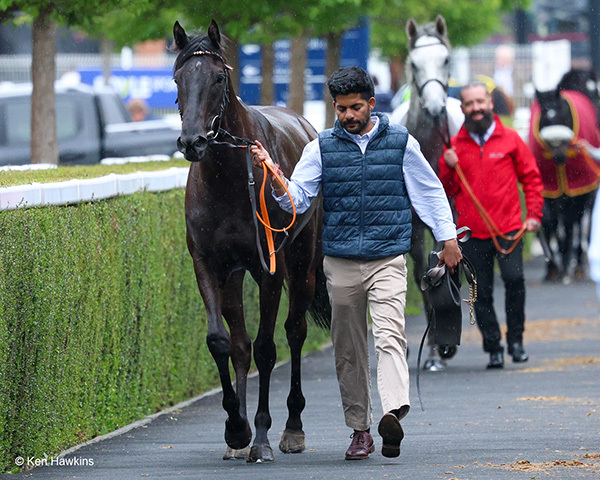Yes I’m Mali posts new personal best at Thirsk and quick turnaround at Ripon today