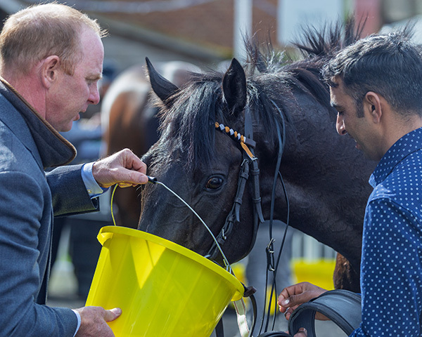 Yes I’m Mali posts new personal best at Thirsk and quick turnaround at Ripon today