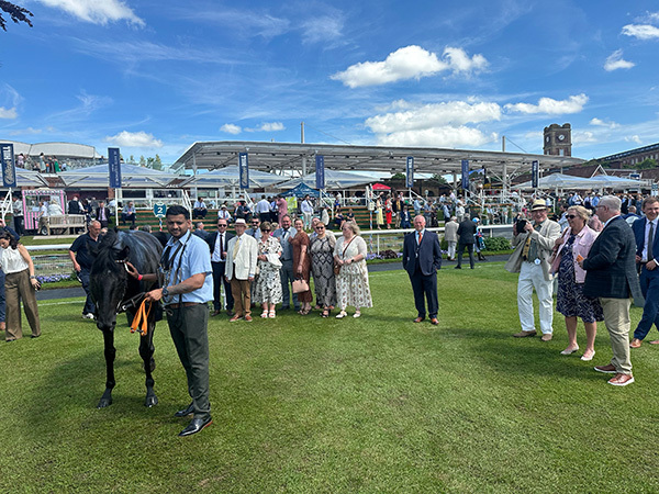 Yes I’m Mali storms home for his owners at York