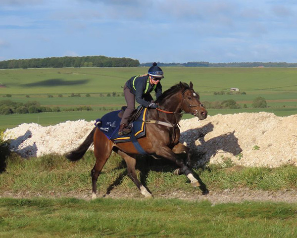 Yes I’m Mali storms home for his owners at York