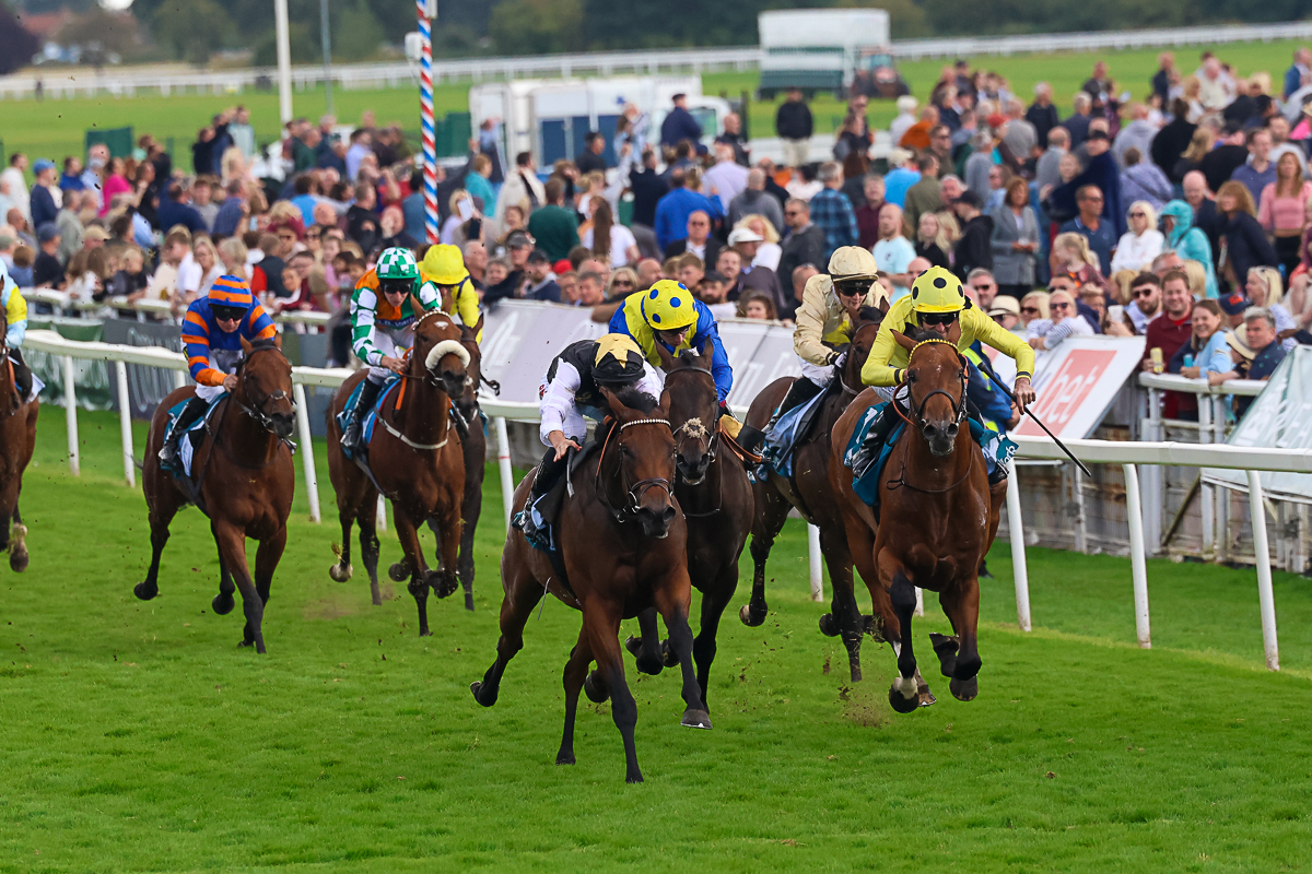 Success stories so far!