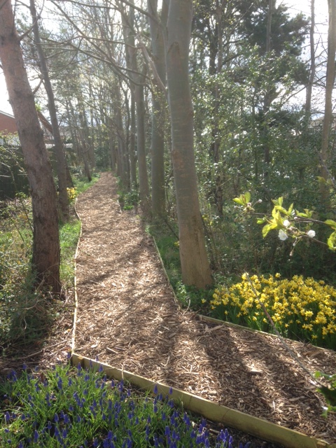 Woodland Walkway2