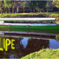 Felipe