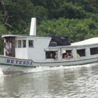 Amazon Reach - Betesda