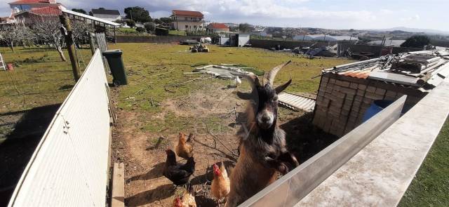 Moradia de Luxo a 10 minutos da Ericeira