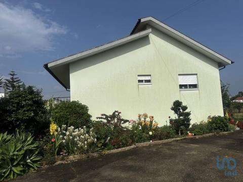House in Albergaria a Velha