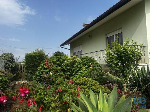 House in Albergaria a Velha