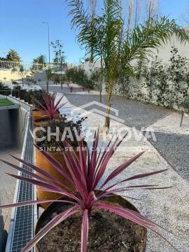 Arrendamento T1 c/lugar de garagem no Porto