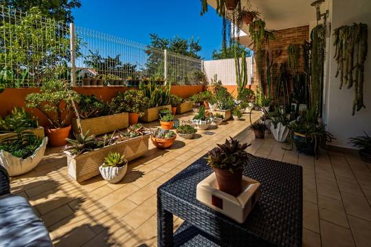 Apartment in Portimão