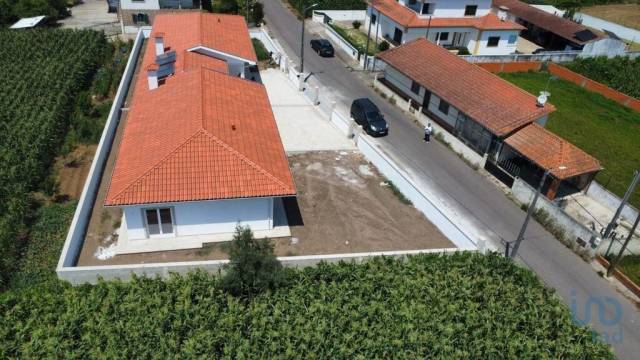 House in Albergaria a Velha