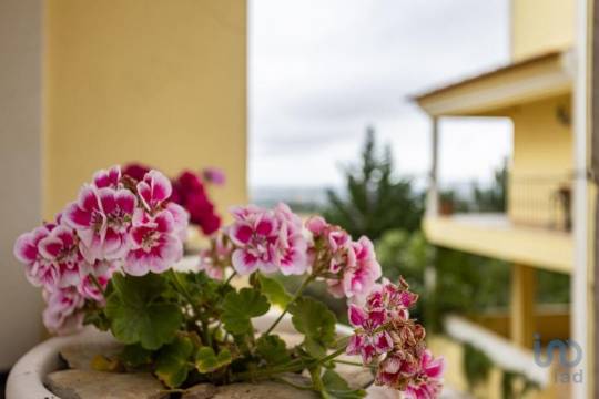 House in Palmela