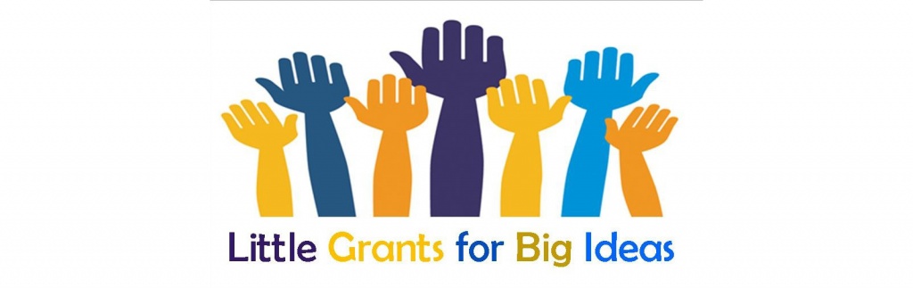 Little Grants for Big Ideas