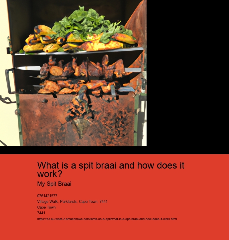 What is a spit braai and how does it work?