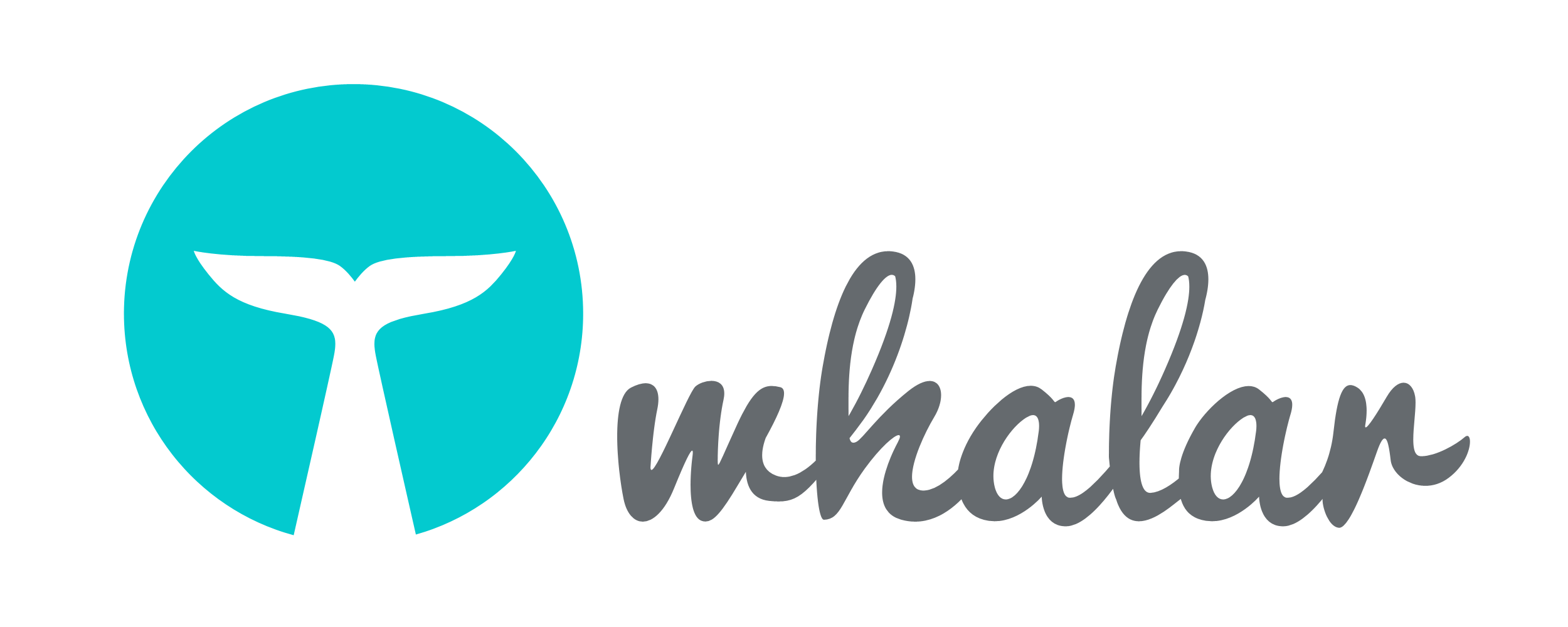 Whalar Ltd