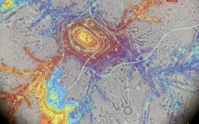 Bacterial Movement Beyond Flagella: Surprising New Mechanisms Uncovered
