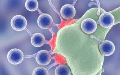 Age Related T Cell Changes Weaken Vaccine Response in Older People