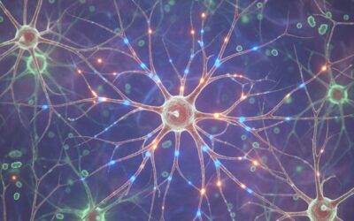 Brain Cell Communication at the Molecular Level