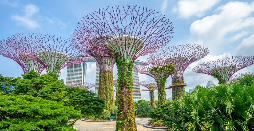 Life Science Development in Singapore: A Rising Global Powerhouse