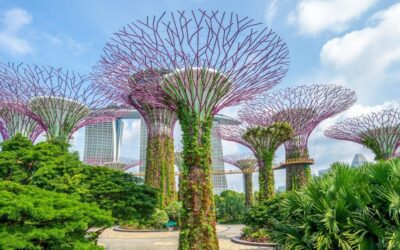 Life Science Development in Singapore: A Rising Global Powerhouse