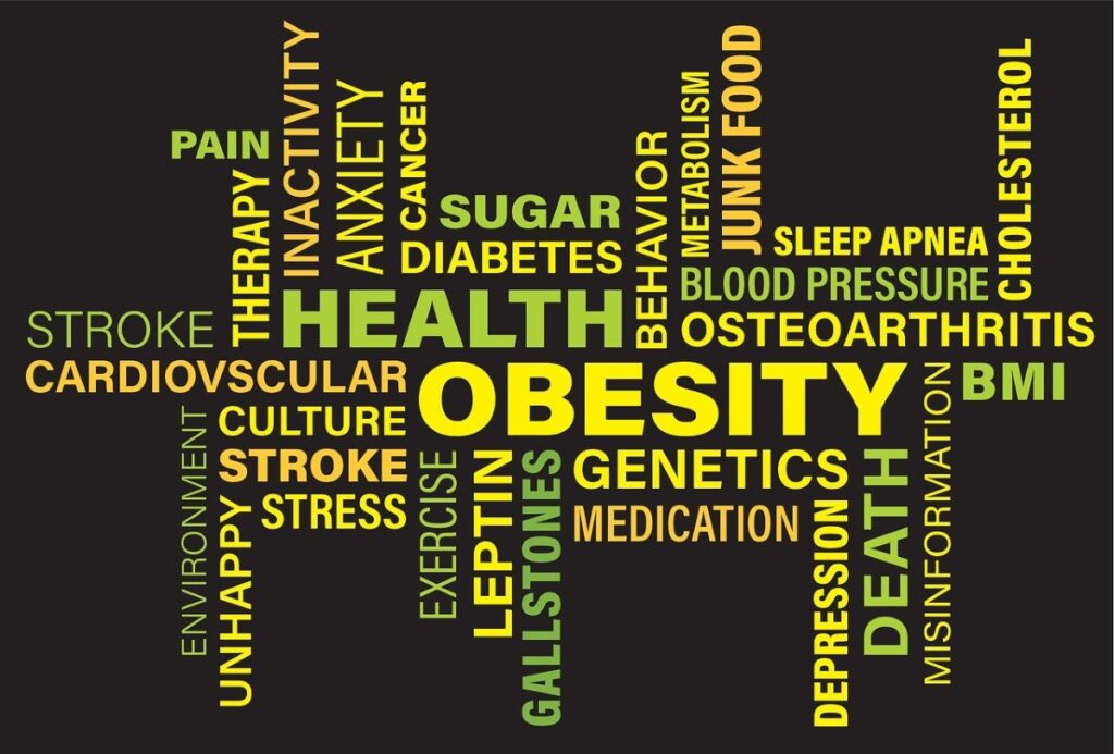 wordmap containing words relating to obesity studies