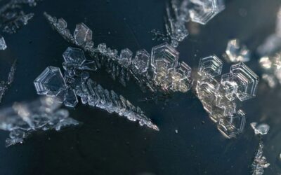 Biotech’s Funding Winter is Over, but M&A Will Remain Selective