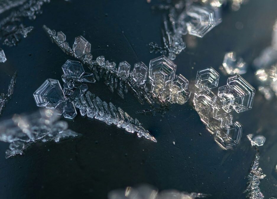 Biotech’s Funding Winter is Over, but M&A Will Remain Selective