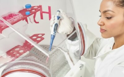 Why Hypoxia Workstations are Becoming Standard Lab Infrastructure