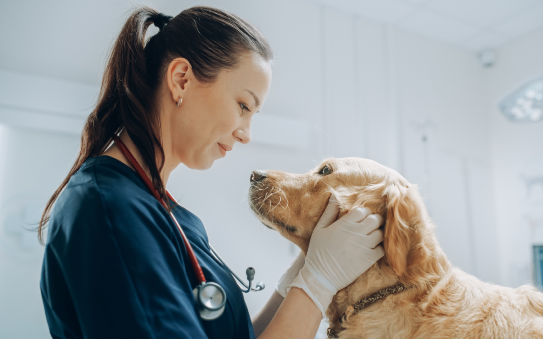 From Kennels to Clinics: Translating Veterinary Research to Human Trials