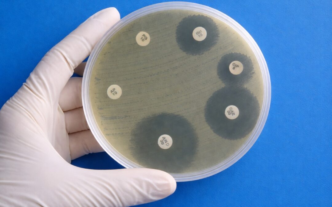 Antibiotic Resistance: The Silent Pandemic Undermining Modern Medicine