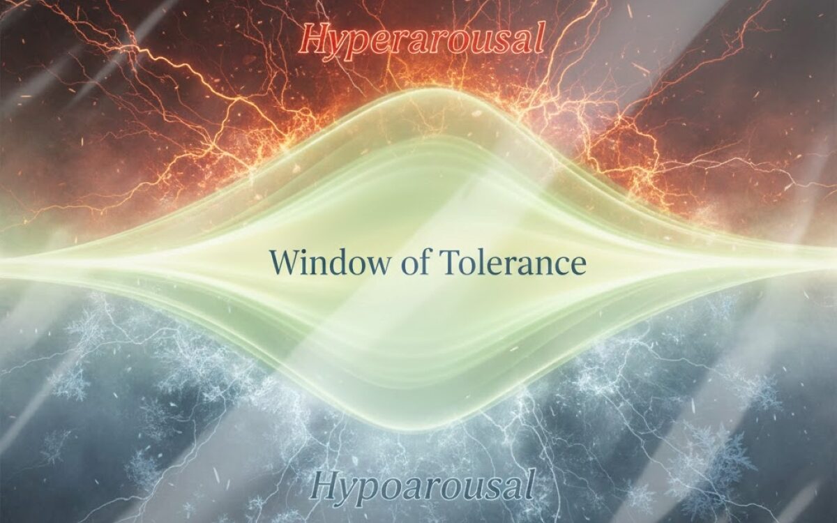Medical diagram illustrating the neuroscience of trauma and alcohol use, showing hyperarousal and hypoarousal states within the window of tolerance.