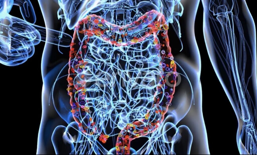 Microbome image inside a stomach