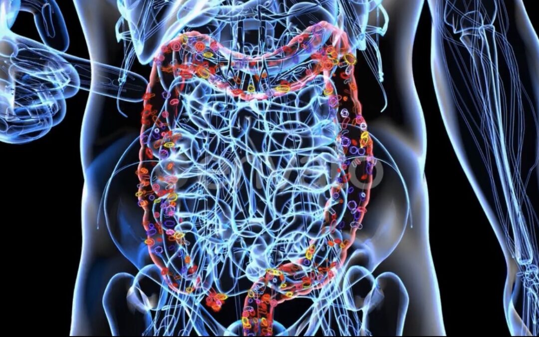 The Microbiome: The Missing Layer in Modern Metabolic Care