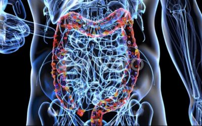 The Microbiome: The Missing Layer in Modern Metabolic Care