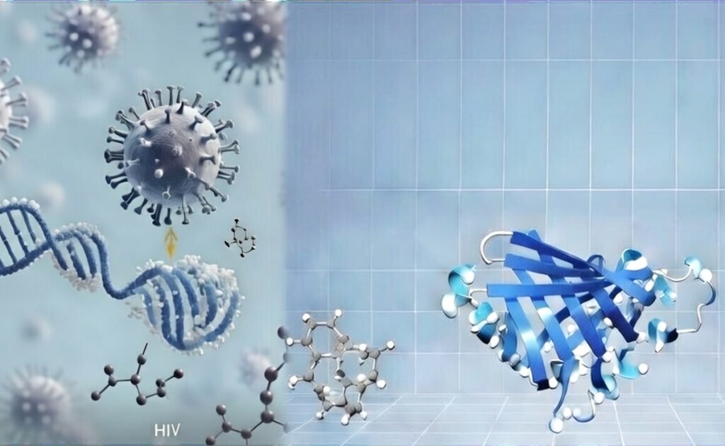 Structural biology model of viral DNA integration and antiviral drug targets.