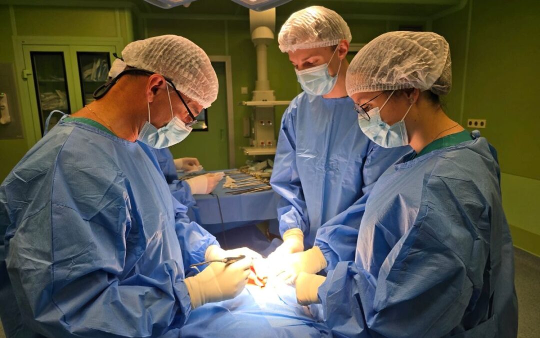 ESGO 2026: Elenagen Phase II Data in Platinum-Resistant OC