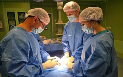 ESGO 2026: Elenagen Phase II Data in Platinum-Resistant OC