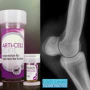 Exciting New Treatment for Degenerative Joint Disease Now Available at LLEP