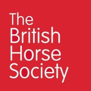 BHS Horse First Aid Certificate