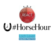 REACT to Colic Podcast from #HorseHour