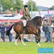 Why Winning A Rosette at The Royal Highland Show isn't the Be All and End All........
